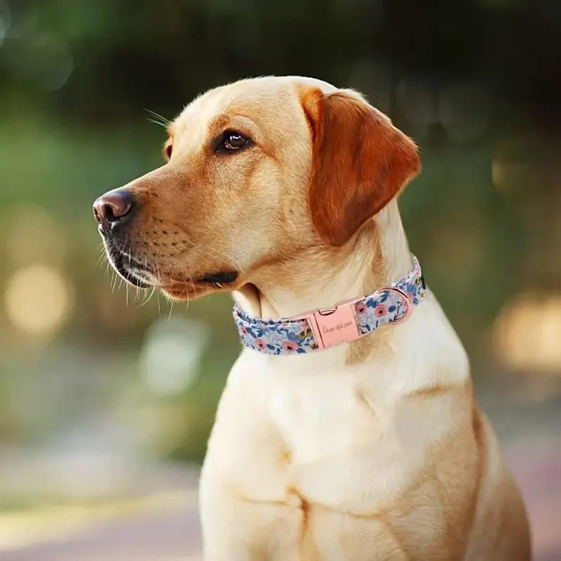 Adjustable Dog Collar With Metal Buckle