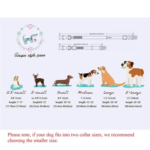 Adjustable Dog Collar With Metal Buckle