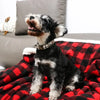 Adjustable Dog Collar With Metal Buckle